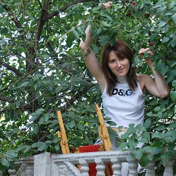 �����, ������, 49 ���