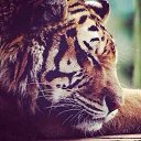 ���� ������, ������, 30 ��� - ��������� 25 ������ 2021 � ������ ���� ����������