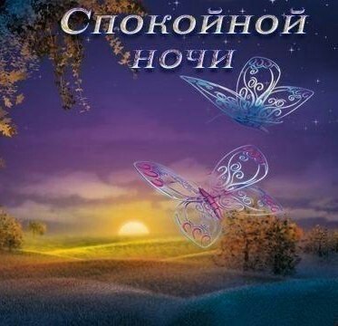   ,    . - 29  2021  22:35 - 5