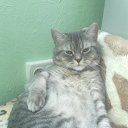 ���� �������, ����������, 35 ��� - ��������� 11 ��� 2021 � ������ ���� ����������