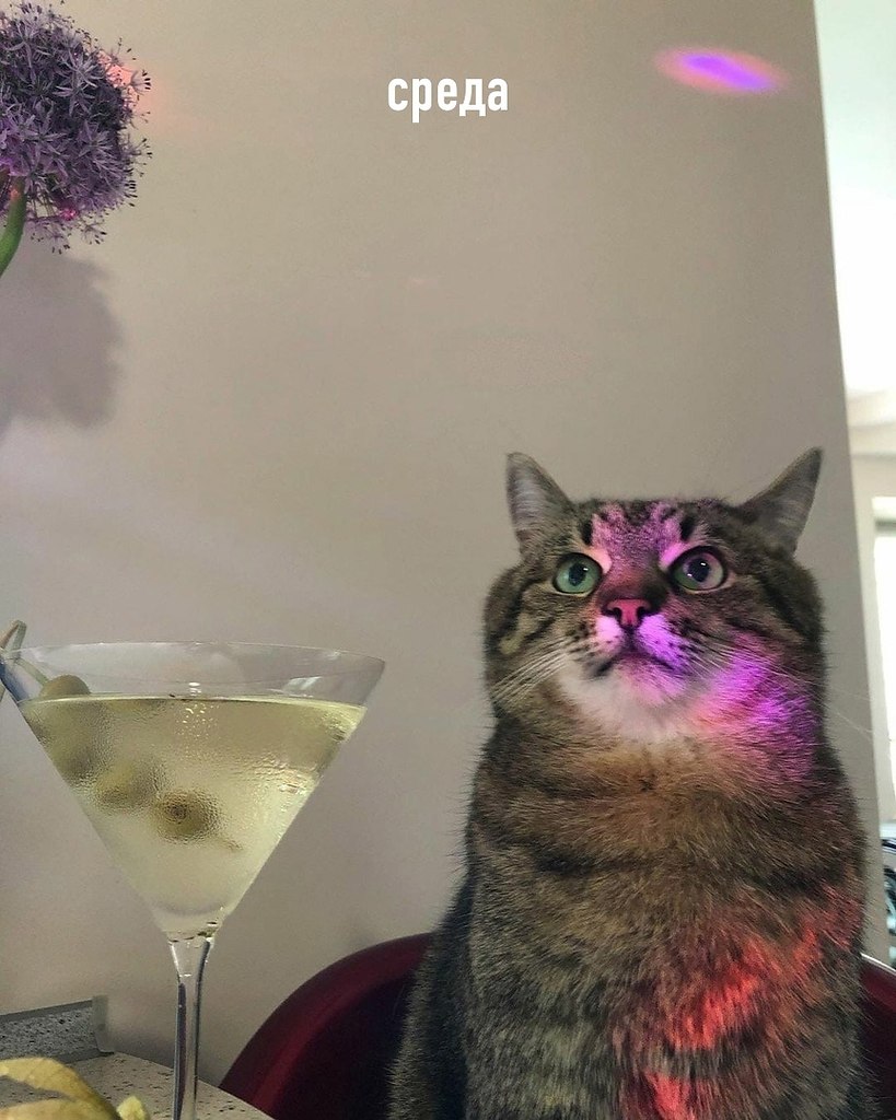  ,   -  - 3