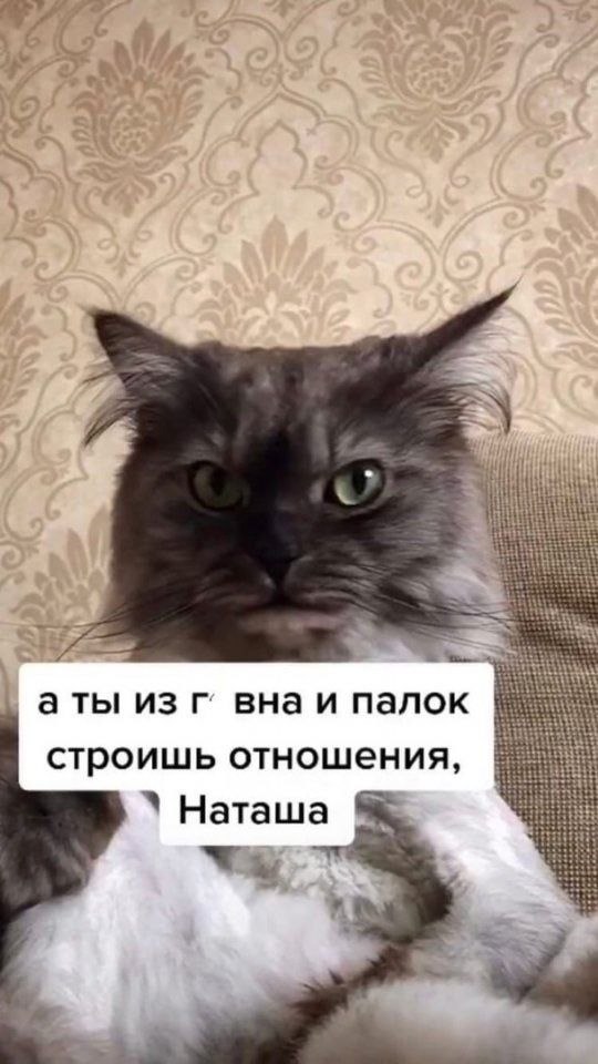   - 4