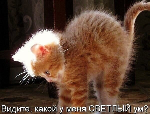    - 8  2021  18:42