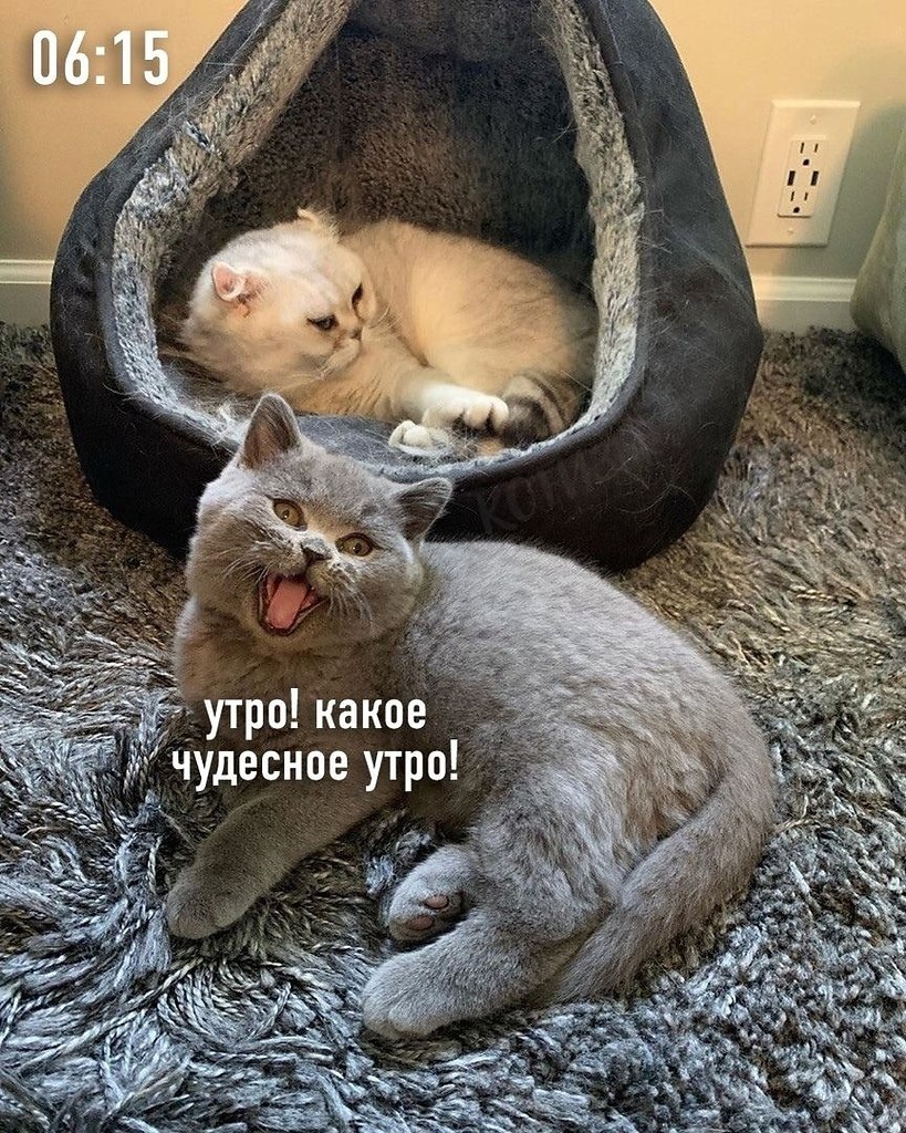  -         - 2