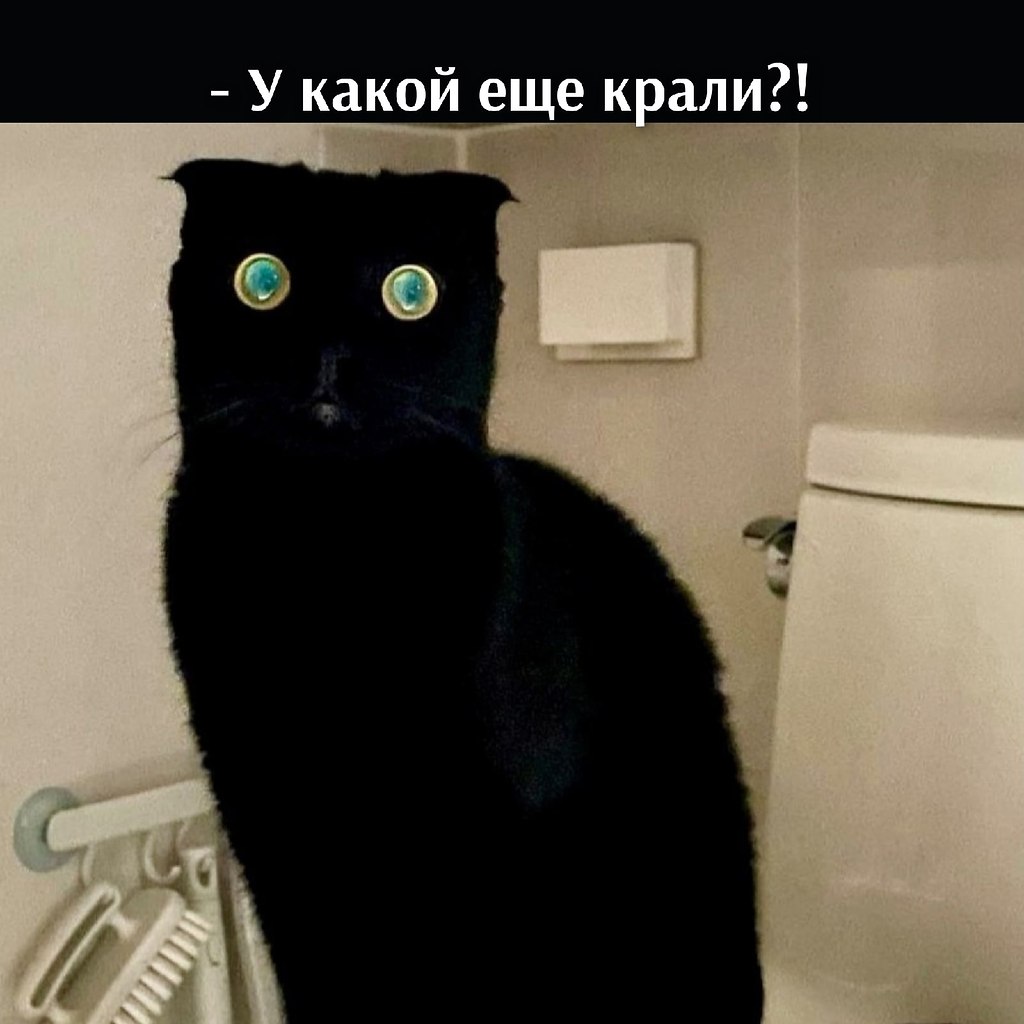       - 20  2021  16:14 - 3