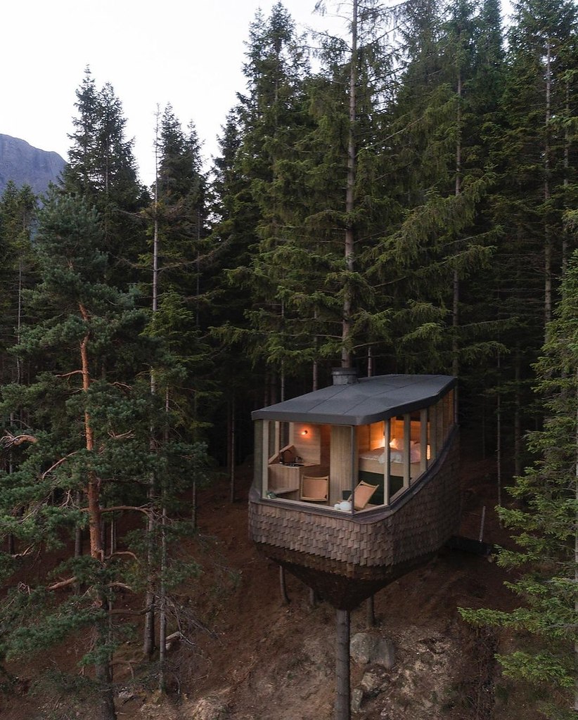        Woodnest Cabin, , .    ...