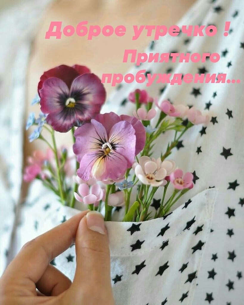 ПРИВЕТСТВИЯ и ПОЖЕЛАНИЯ, открытки на каждый день. - 27 января 2022 в 20:57 - 3