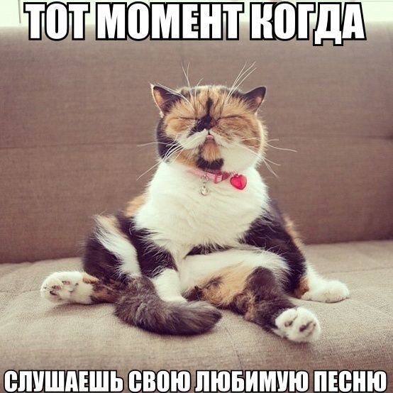    - 5  2021  13:19