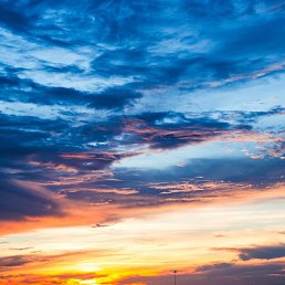 Snow, ������, 35 ���