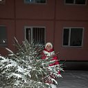 ���� �������, ���������, 59 ��� - ��������� 2 ������ 2022 � ������ ���� ����������