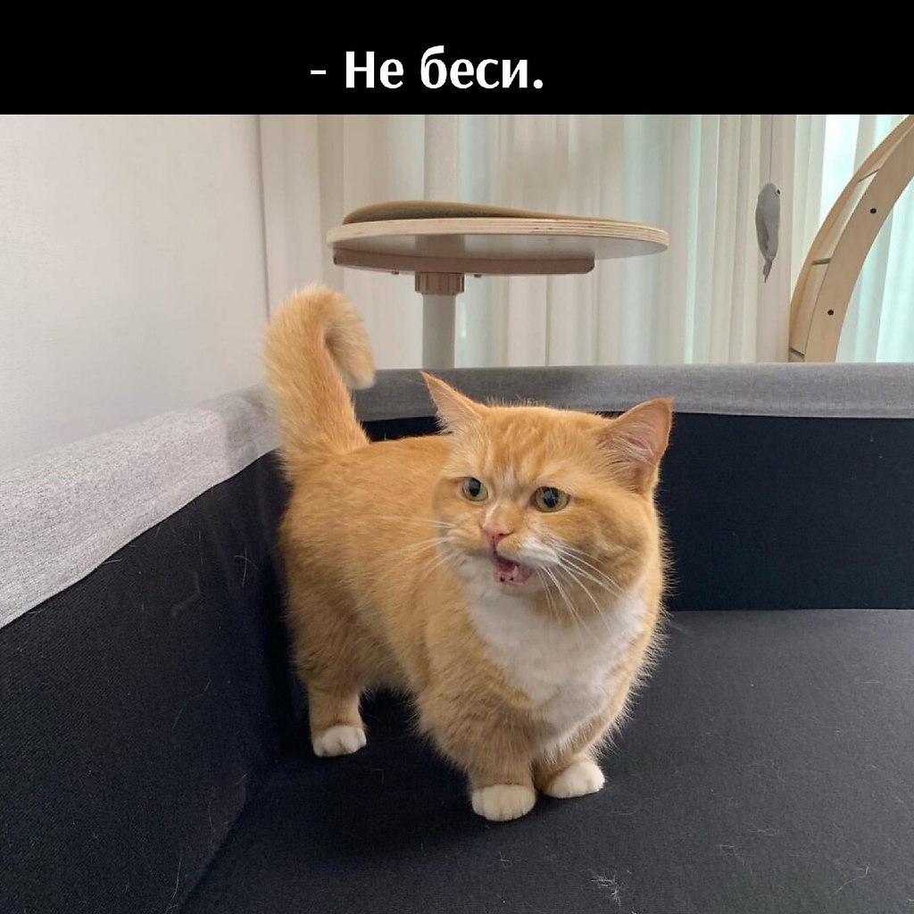       - 21  2021  09:42 - 2