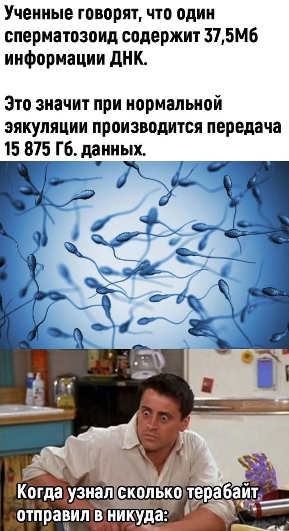  - 16  2021  13:11