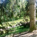 ���� ����, �����-���������, 68 ��� - ��������� 9 ���� 2021 � ������ ����� 2021�