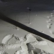 Таня, , Всеволожск Таня, , Всеволожск