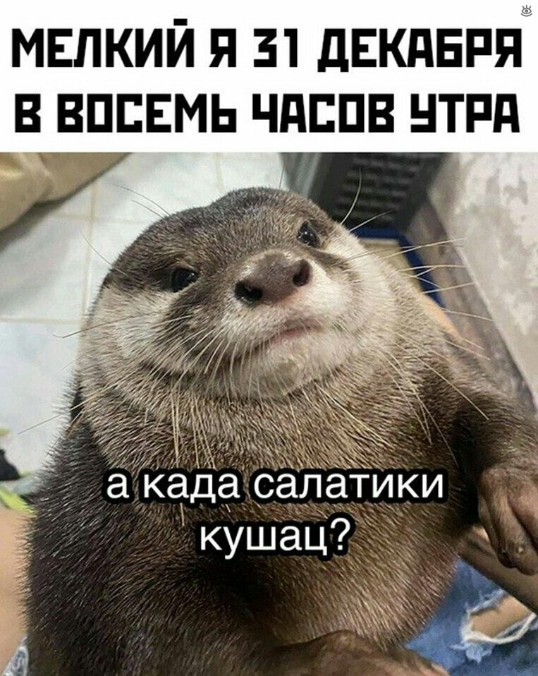     ?      !