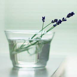 �����, ����-���������, 47 ���