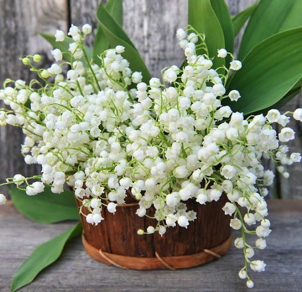   ,    . - 18  2021  22:56 - 7