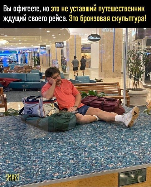 -traveler |trvlr| —путешественник, бегунок, коммивояжер.-voyager |vdr| —путешественник, ...