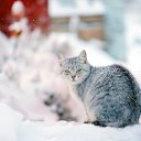  Snn,  -  30  2021    