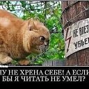 ���� ��������, ������� - ��������� 10 ������ 2022 � ������ ������ ��������