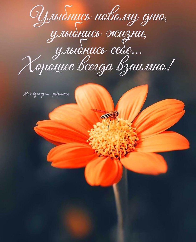   ,    . - 9  2021  22:05 - 7