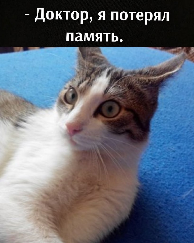       - 14  2021  09:58