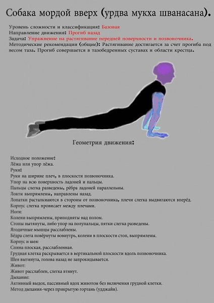 Комплекс асан с подробным описанием. Забирайте себе, чтобы не потерять! - 7