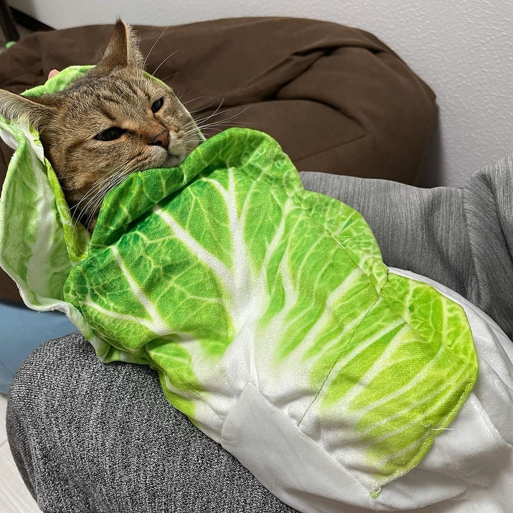     ?    