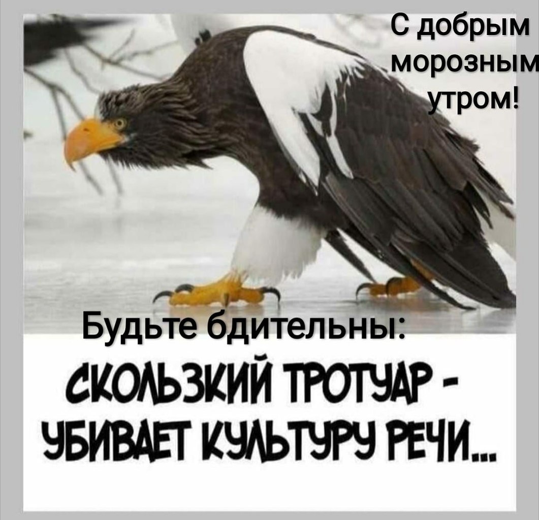   - 16  2021  06:07
