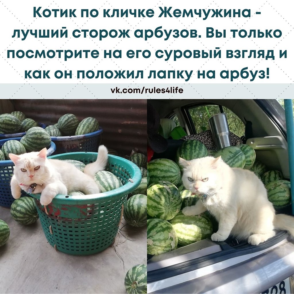 LIFE - ������� - 1 ���� 2021 � 12:15