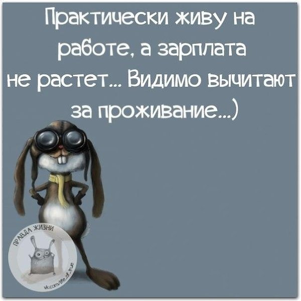   - 19  2021  10:38