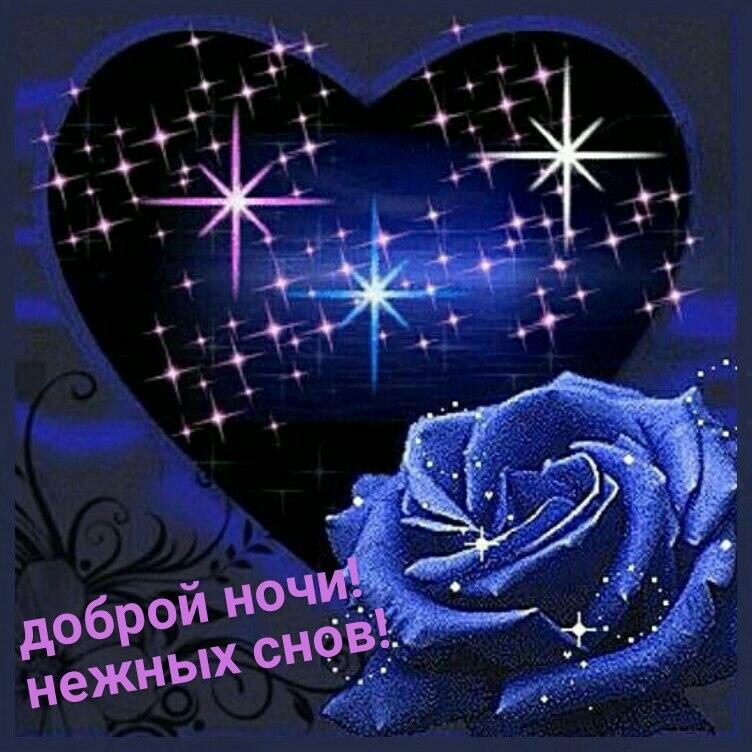   ,    . - 27  2021  21:42 - 8