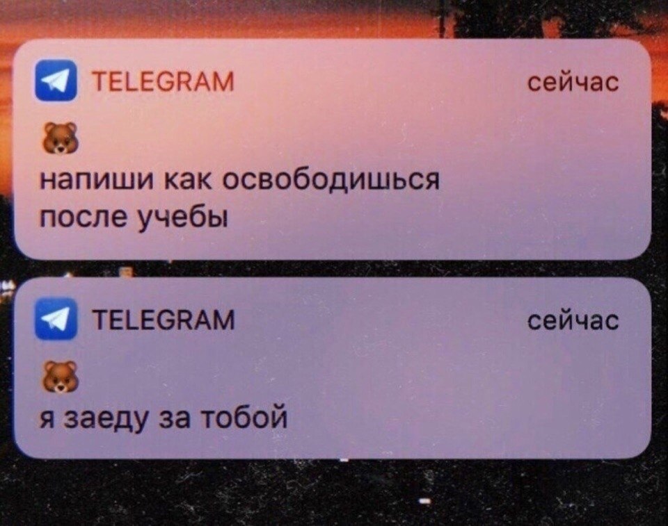 ,     : - 7