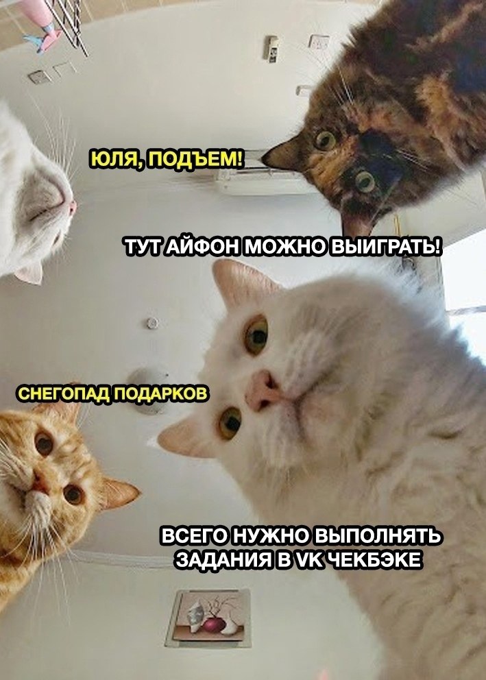         ! https://fotostrana.ru/away?to=/sl/kxA1