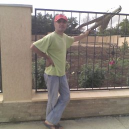 ������, ���������, 62 ����