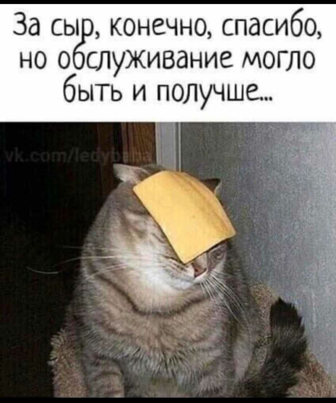 ***Victoria Viktorovna*** - 17  2021  05:41