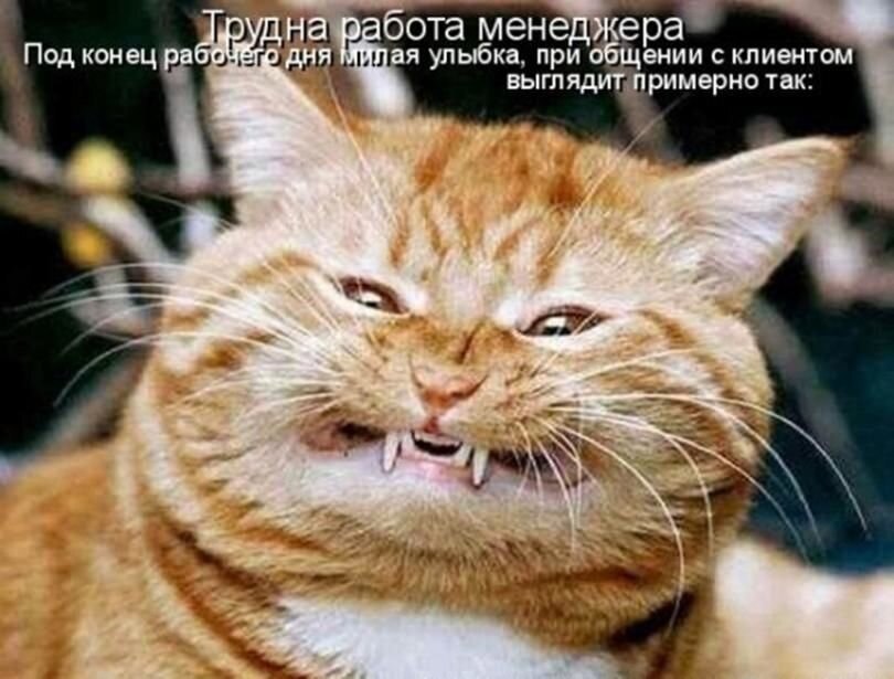    - 22  2021  00:36