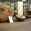  , -, 64  -  18  2021    