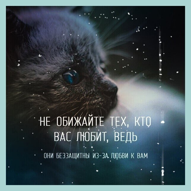 ☆ ☆ - 24  2021  16:22