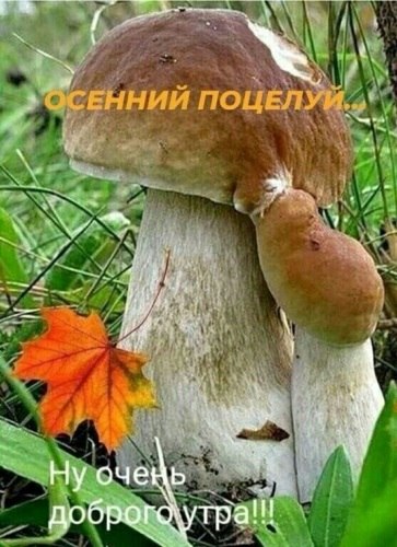  - 11  2021  08:11 - 2