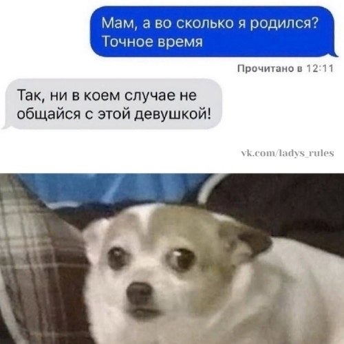 ���� ����