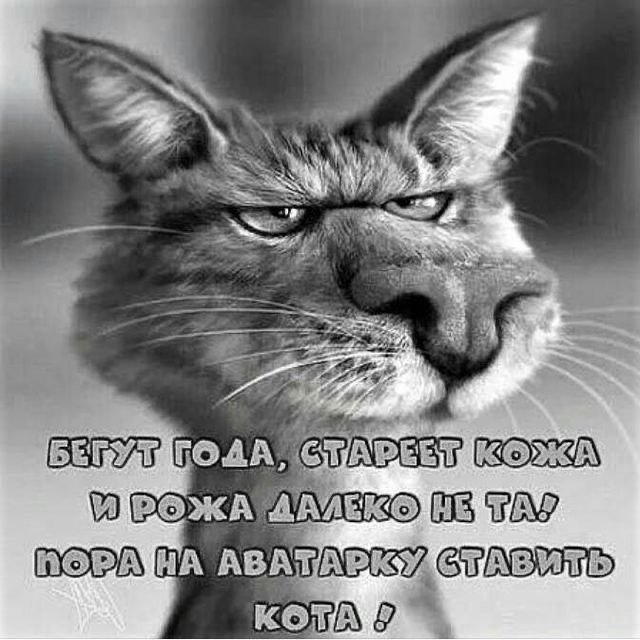  - 19  2021  12:48