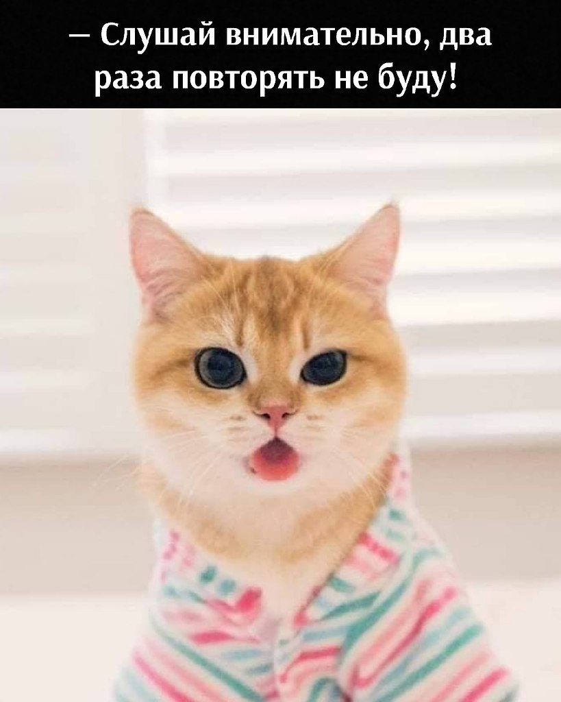       - 26  2021  18:00