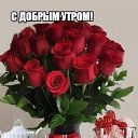 ���� ###�������*****, ������������� - ��������� 31 ������ 2022