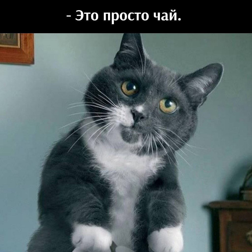       - 21  2021  09:42 - 5