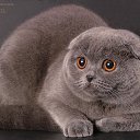  Elena....,  -  13  2021    