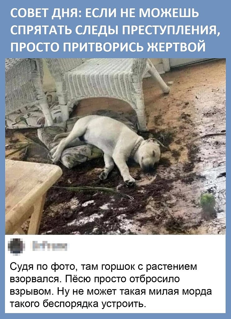   .   ,    ...) ,  . ...