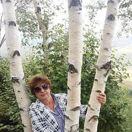 �����, �����������, 64 ����