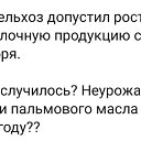 ���� Gemini, ��������, 64 ���� - ��������� 8 ������ 2021 � ������ ������ ��������