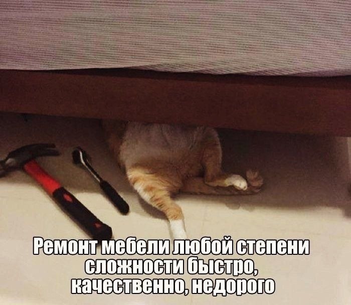    - 28  2021  08:12